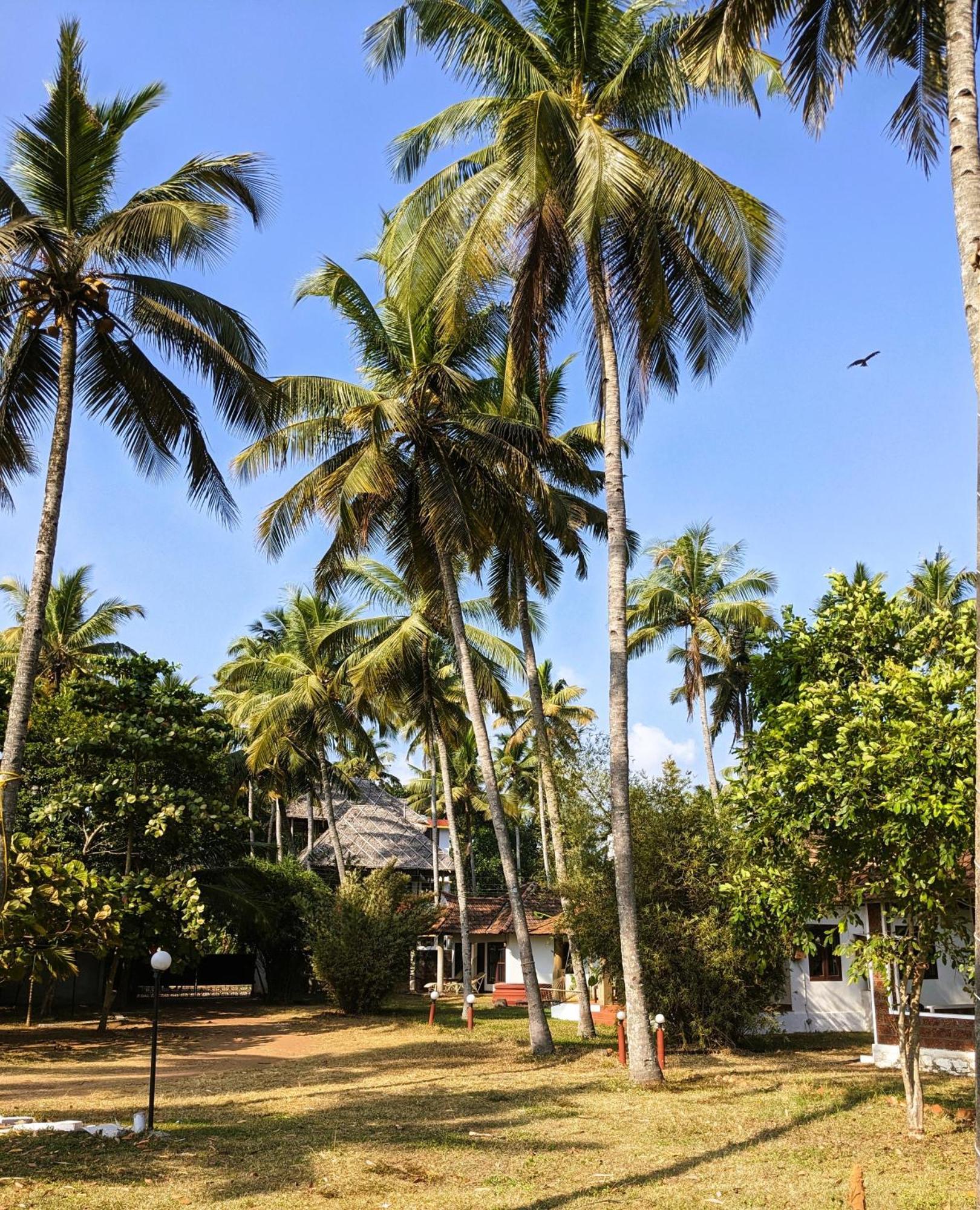 Baycliff Cottages Varkala Bagian luar foto